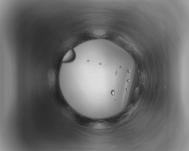 X0000101430412200807211154