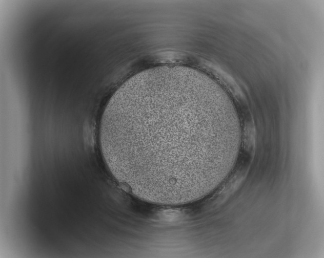 X0000101430413200807211154