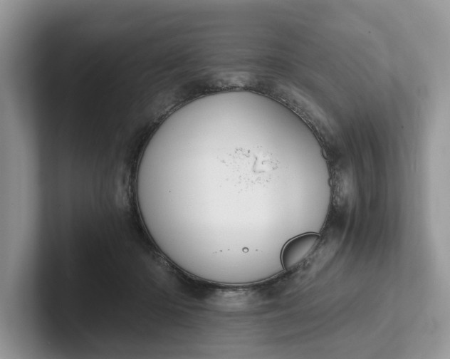 X0000101430414200807211154