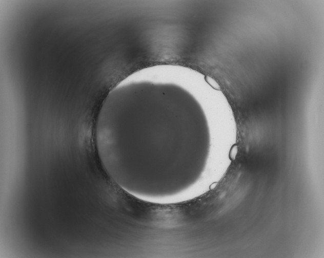 X0000101430415200807211154