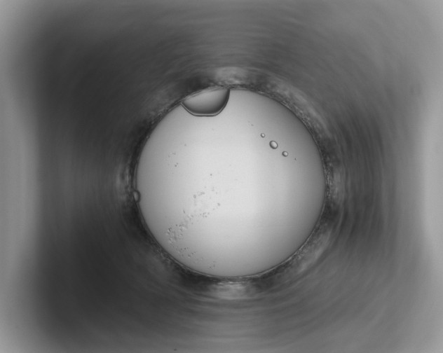 X0000101430418200807211154