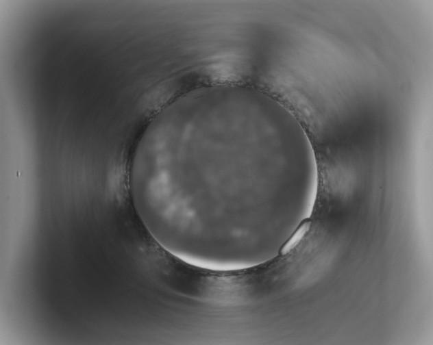 X0000101430419200807211154