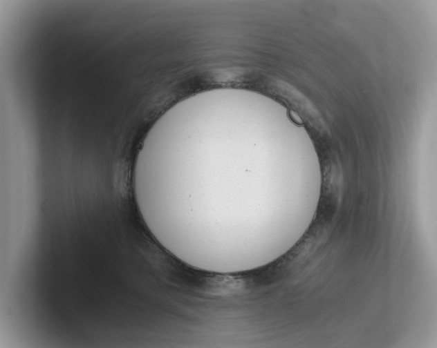 X0000101430421200807211154