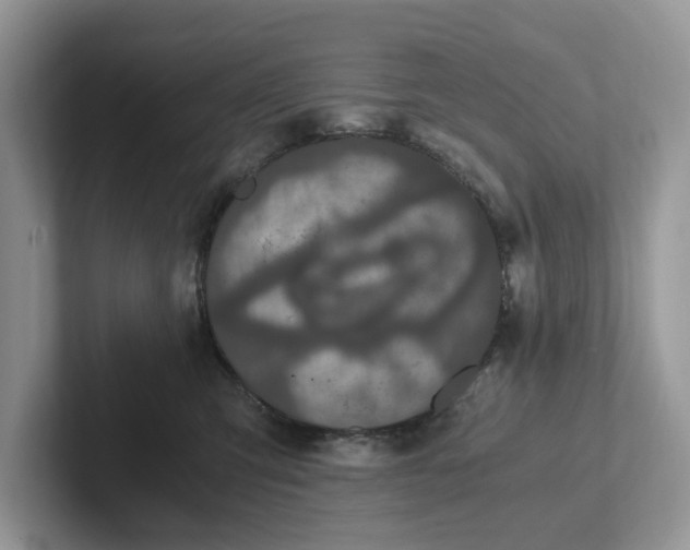 X0000101430423200807211154