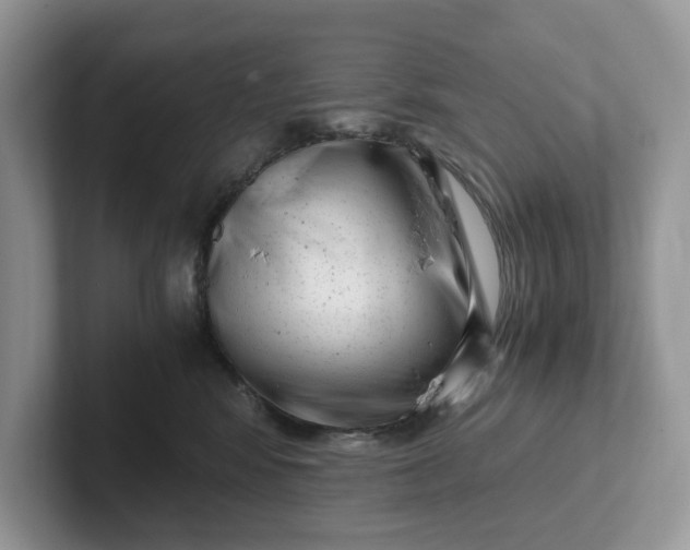 X0000101430424200807211154