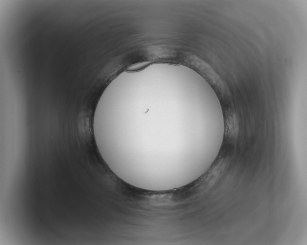 X0000101430426200807211154