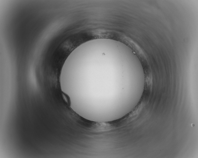 X0000101430429200807211154