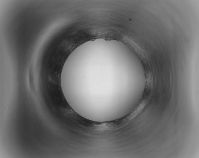 X0000101430430200807211154