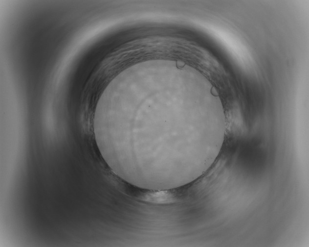 X0000101430431200807211154