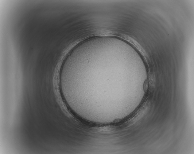 X0000101430433200807211153