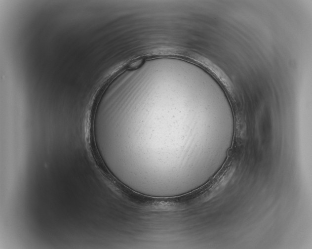 X0000101430437200807211153