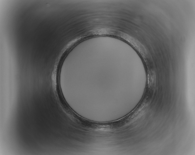 X0000101430438200807211153