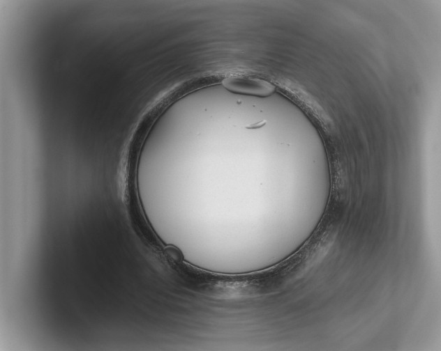 X0000101430440200807211153