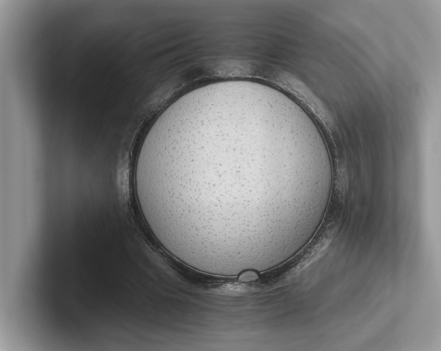 X0000101430441200807211153