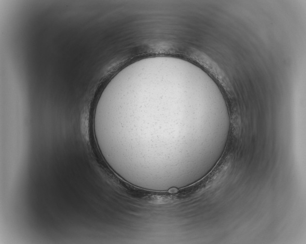 X0000101430442200807211153