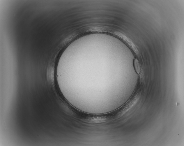 X0000101430445200807211153