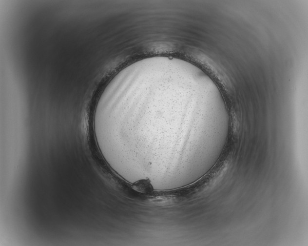 X0000101430447200807211153