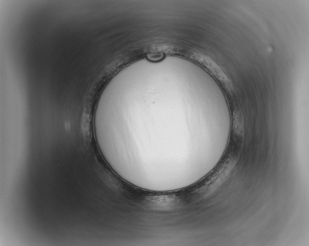 X0000101430449200807211154