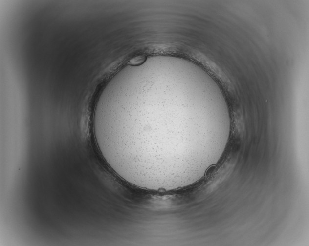 X0000101430450200807211154