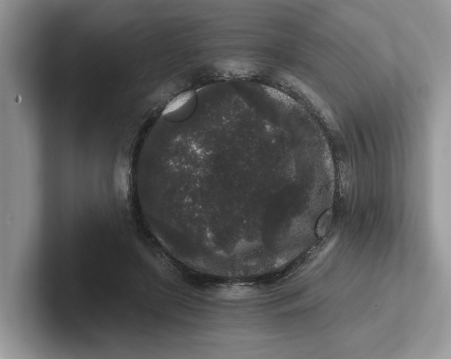 X0000101430451200807211154