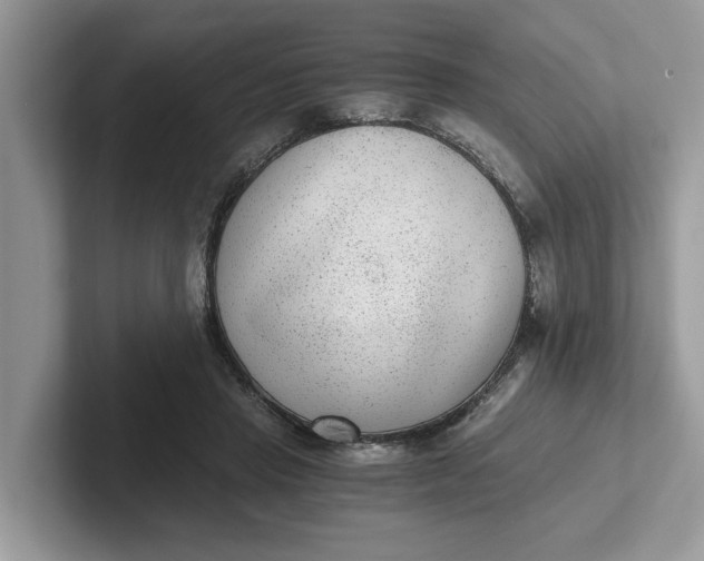 X0000101430453200807211154