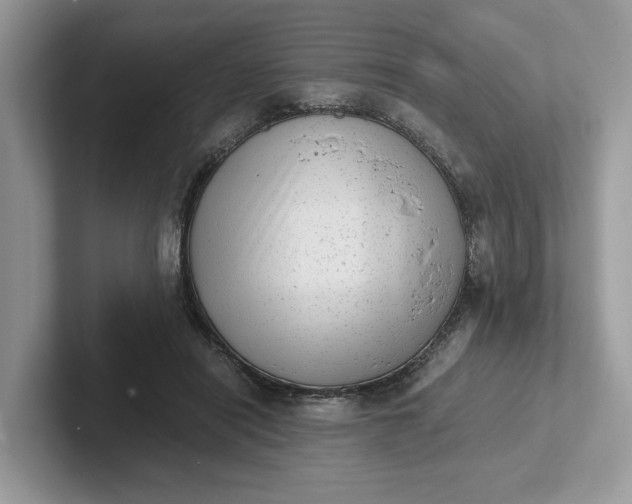 X0000101430454200807211154