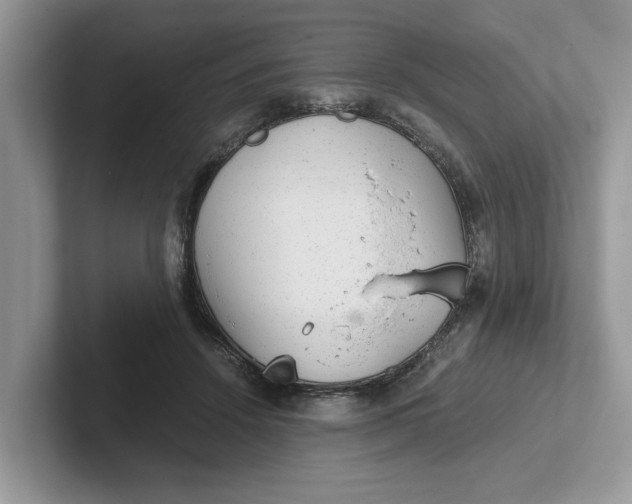 X0000101430456200807211154