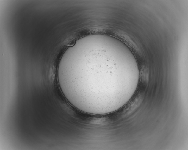 X0000101430458200807211154