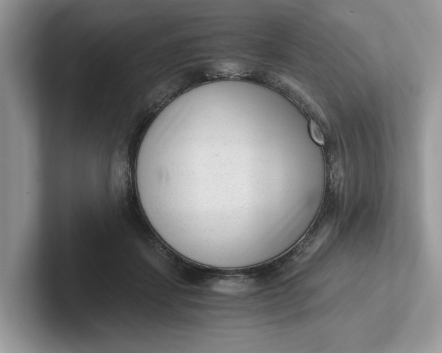 X0000101430459200807211154