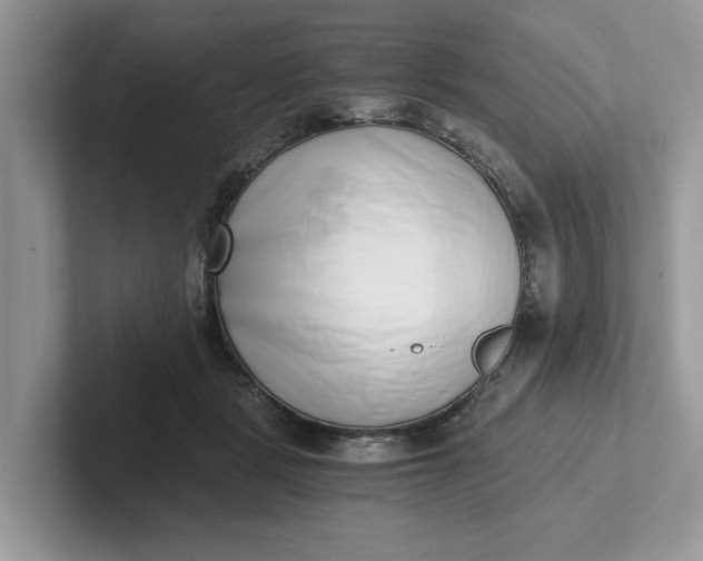 X0000101430461200807211154