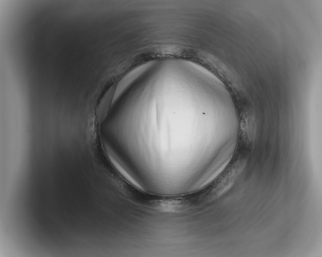 X0000101430462200807211154