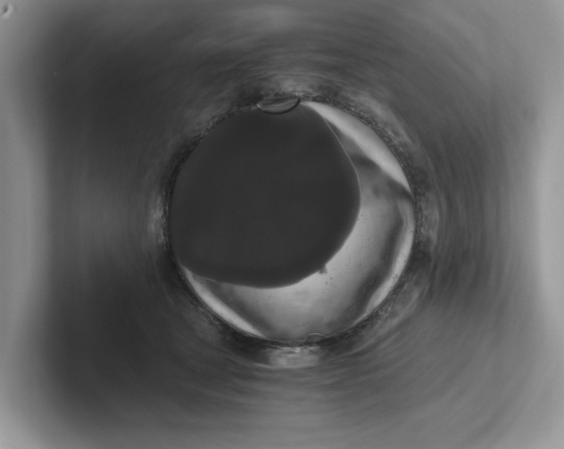 X0000101430465200807211154