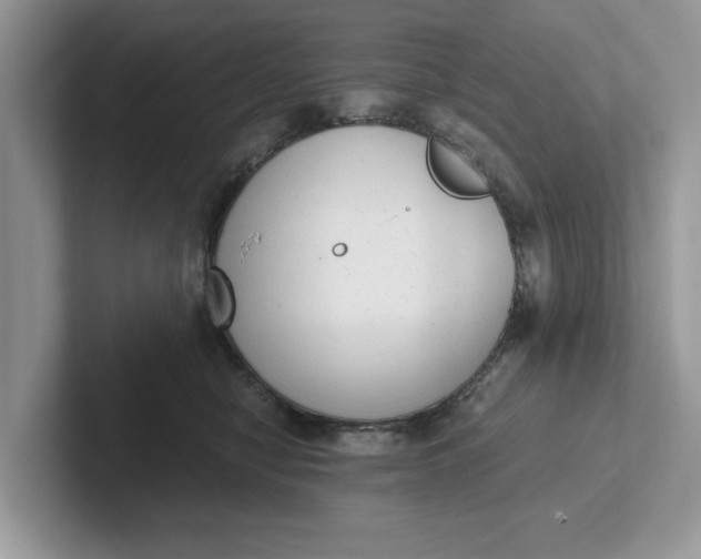 X0000101430470200807211154