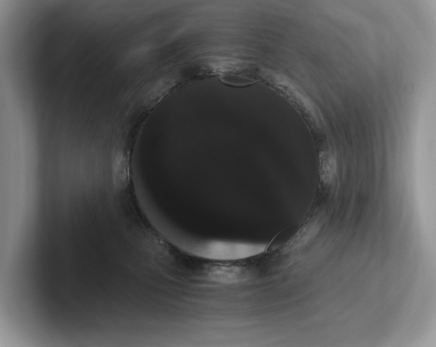 X0000101430471200807211154