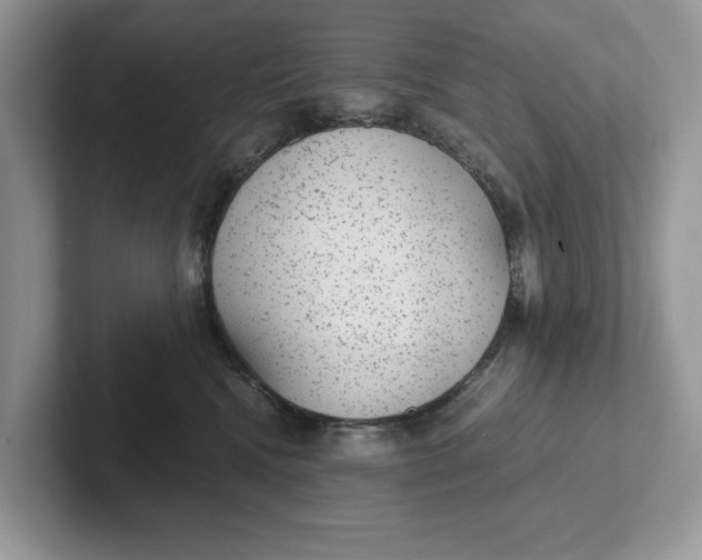 X0000101430472200807211154