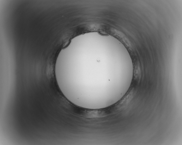 X0000101430473200807211154