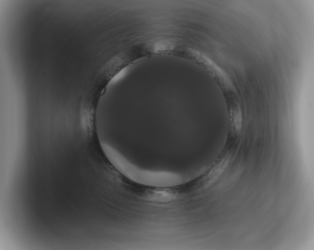 X0000101430475200807211154