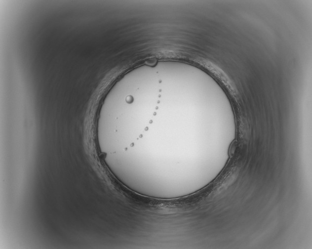 X0000101430481200807211153