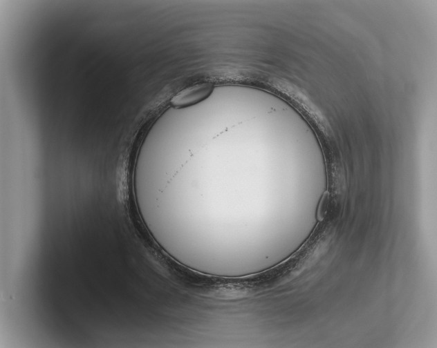 X0000101430489200807211153