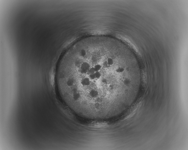 X0000101430491200807211153