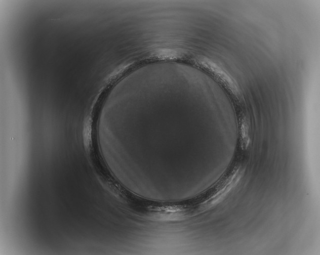 X0000101430492200807211153