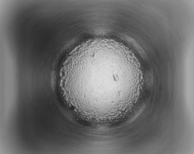 X0000101430495200807211153