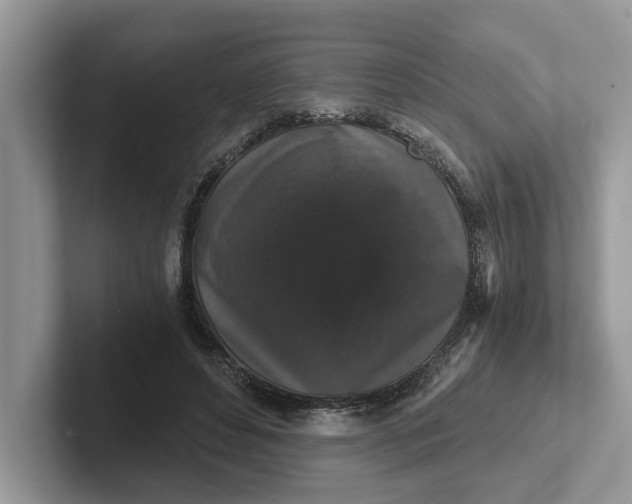 X0000101430496200807211153