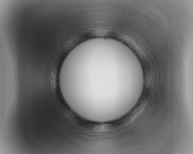 X0000101430497200807211153