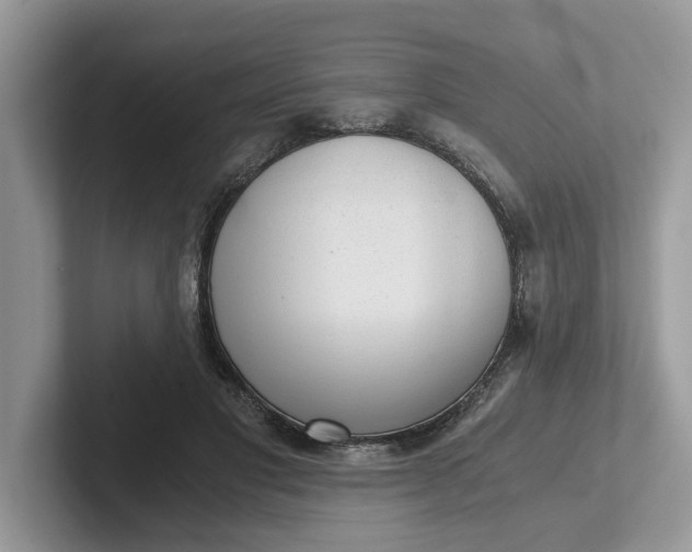 X0000101430501200807211153