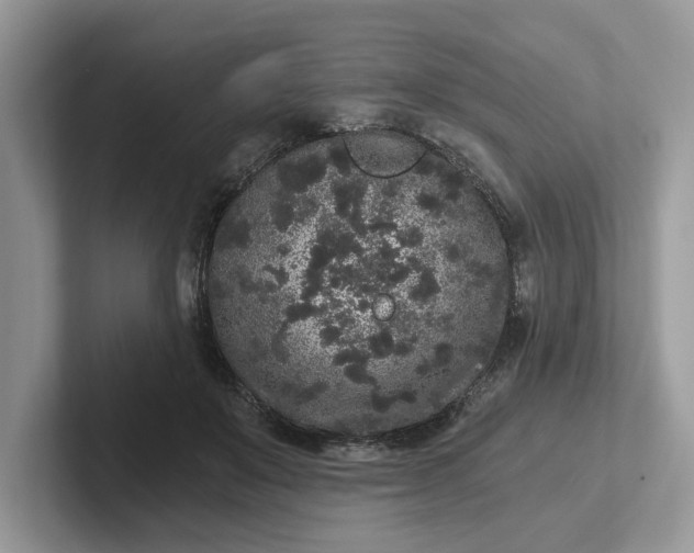 X0000101430503200807211153