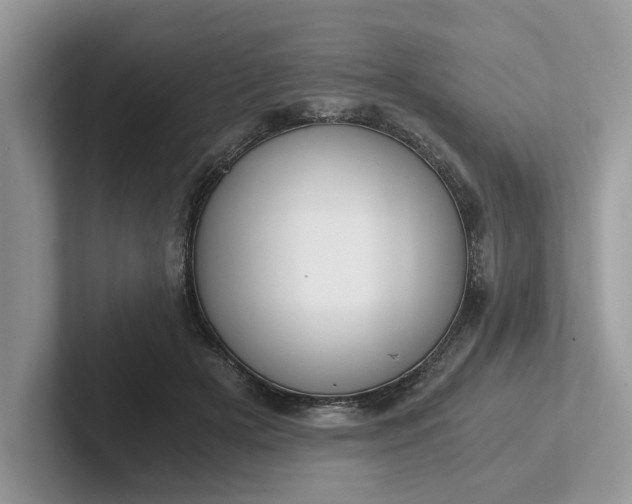 X0000101430505200807211153