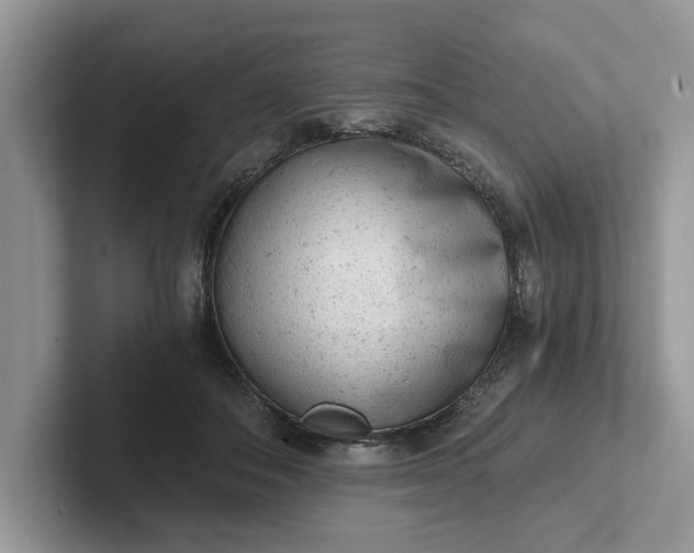 X0000101430506200807211153