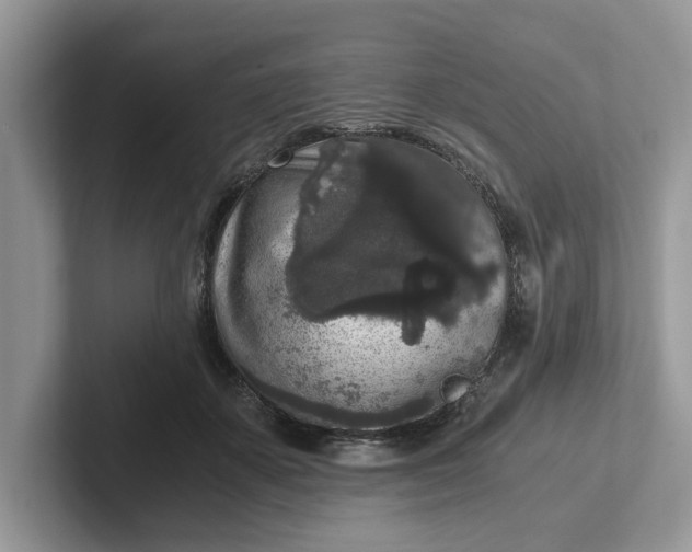 X0000101430507200807211153