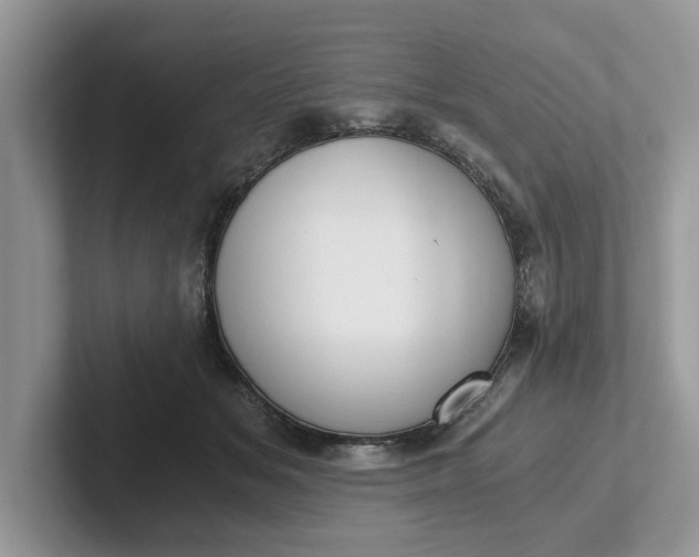 X0000101430509200807211153